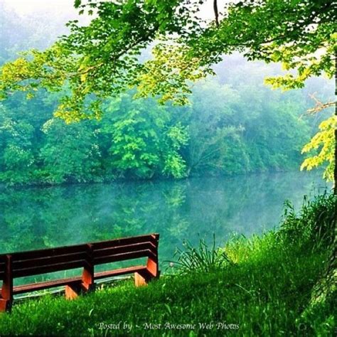 Serenity Green Nature Wallpaper Nature Pictures Nature Wallpaper