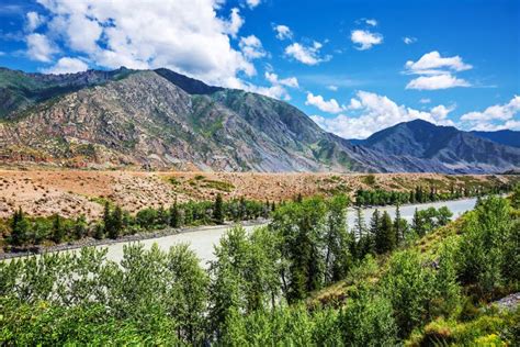 The River Katun Gorny Altai Russia Stock Image Image Of South