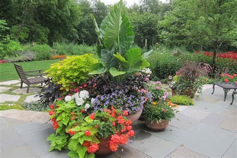 Mixed Perennial Border Vibrant Colors Bristol Wi Van