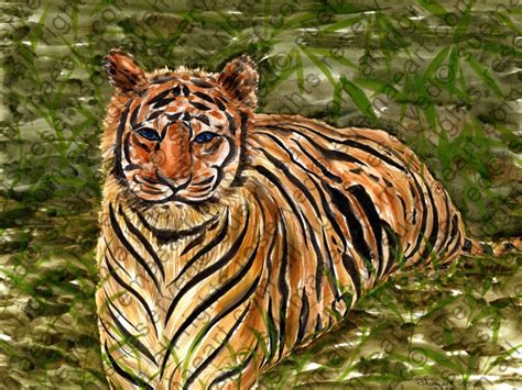 Tiger In The Bamboo Forest Suemae Art