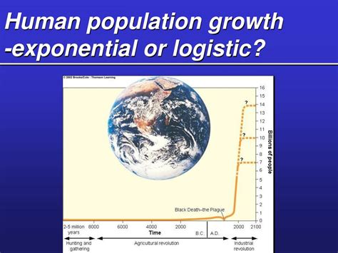 Ppt Population Dynamics And Growth Powerpoint Presentation Free