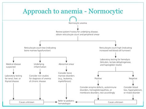 Ppt Child With Anemia Powerpoint Presentation Free Download Id2347771