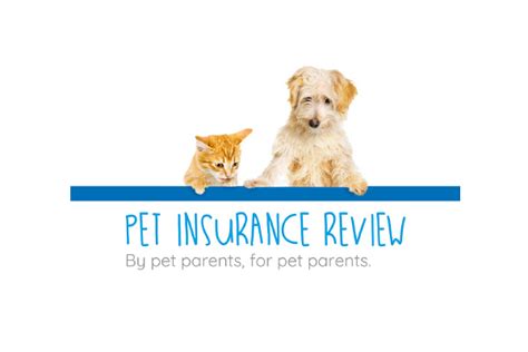 Having a sick or injured pet is stressful enough. corporate-logo-PET-INSURANCE-PREVIEW-022720 | Animal League