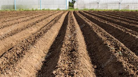 Preparación del suelo para la siembra de hortalizas en la agricultura