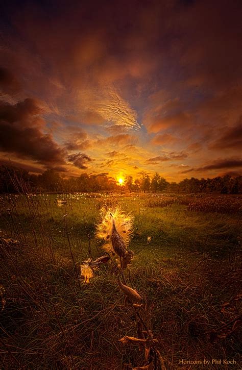 Where Ever Life Takes Us Wisconsin Horizons By Phil Koch Photography