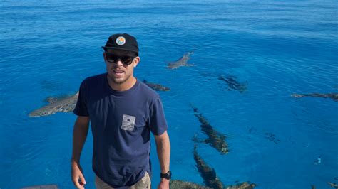 save this shark le dernier documentaire de mick fanning disponible surf session magazine