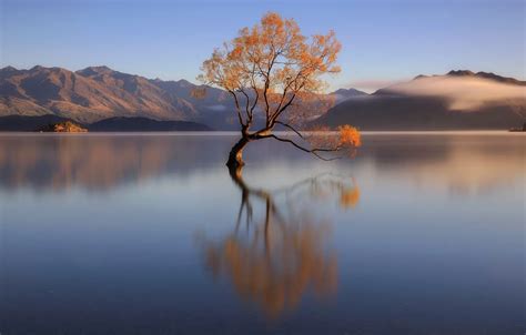 Wallpaper Mountains Lake Tree New Zealand Images For Desktop