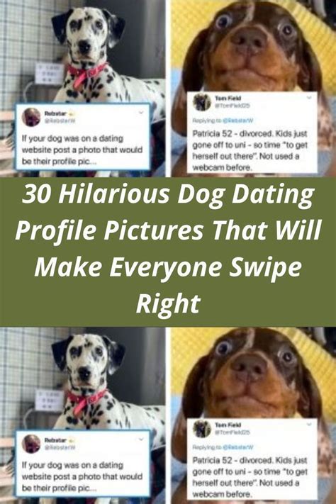 30 Hilarious Dog Dating Profile Pictures That Will Make Everyone Swipe