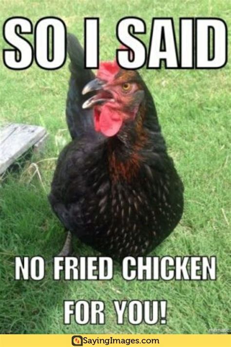 Pin On Chicken Memes