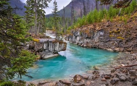 Download Wallpapers Mountain Blue River Forest Mountain Landscape