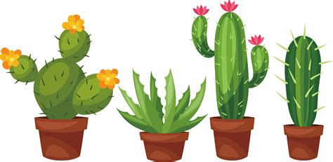 Green Cactus Hand Drawn Plant Potted Png Transparent Clipart Image My