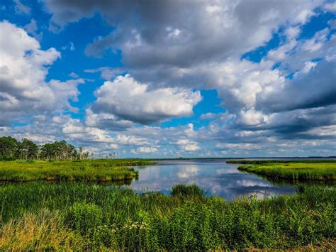 Blackwater National Wildlife Refuge Cambridge Maryland 2048x1536 Oc