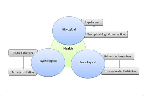 The Biopsychosocial Model Of Health Links Biological Psychological And Free Download Nude