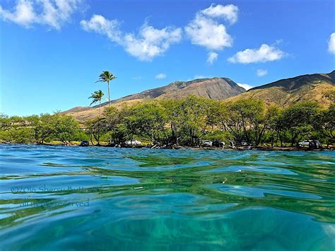 Olowalu Beach Maui All You Need To Know Before You Go