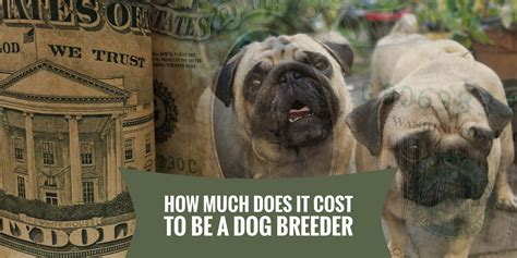 How Much Does It Cost To Be A Dog Breeder