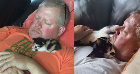 30 hilarious photos of people who hate cats and aren t afraid to show it