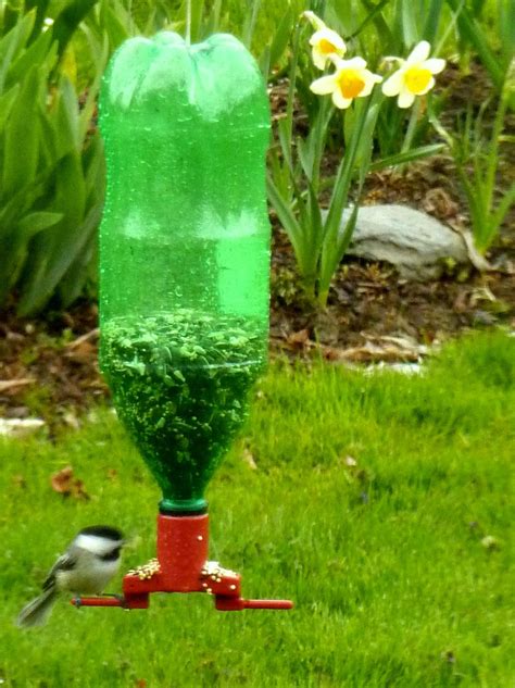 Recycled Plastic Bottle Bird Feeder Perch Is From A Pet Store Thread A Cord Through A Hole In
