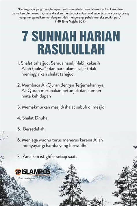 7 Sunnah Harian Rasulullah Pray Quotes Hadith Quotes Quran Quotes