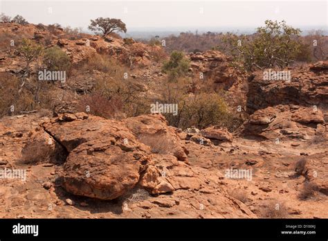 Mapungubwe National Park Overlooking A Unesco World Heritage Site In