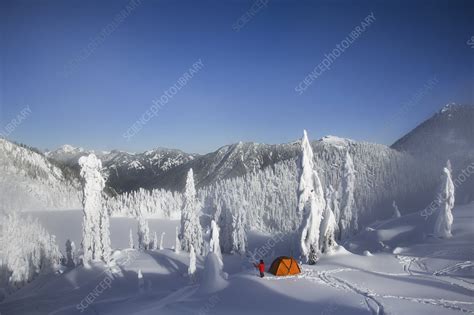 A Man Walking Through Deep Powder Snow Stock Image F0089713