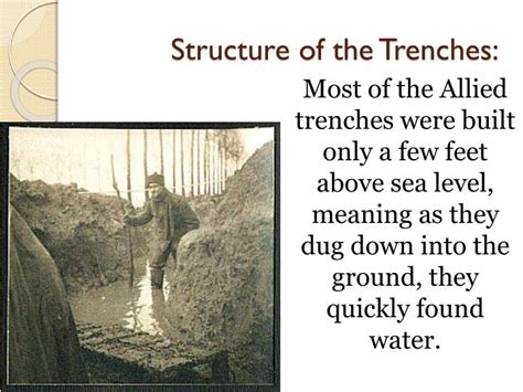 Ppt Trench Warfare And Wwi Powerpoint Presentation Id2119981