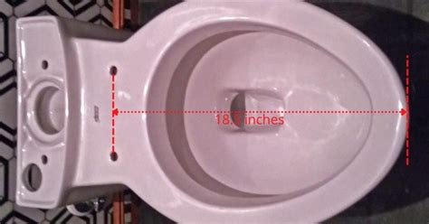 How To Know If Your Toilet Seat Is Round Or Elongated Plumbing Sniper