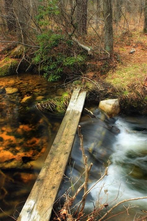 무료 사진 폭포 물 젖은 생태 스트림 자연 나무 강 잎