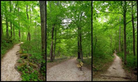 Western Travelerorg • Green River Bluffs Trail Kentucky