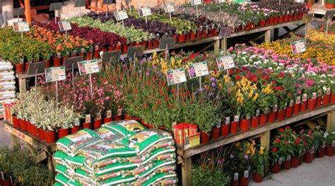 Shop plants & garden flowers and more at the home depot. Garden Center - Graziano Gardens
