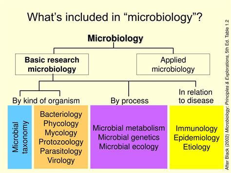 Ppt What Are Microbes Powerpoint Presentation Free Download Id85616
