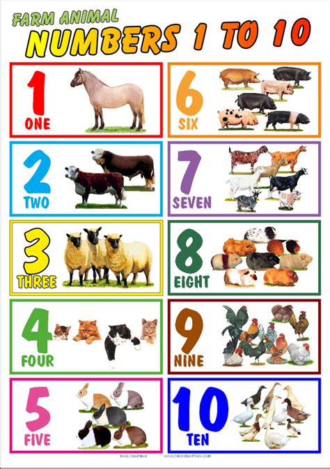 A4 Laminated Postersnumbers 1 10childrens Educational