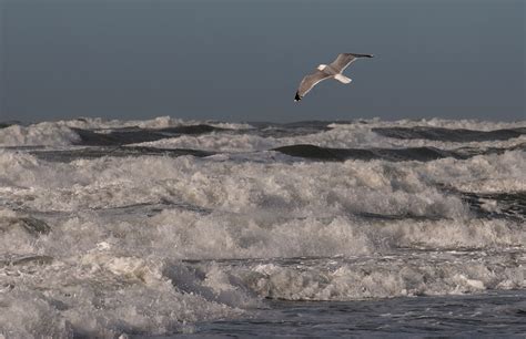 Wind And Waves World Photography Image Galleries By Aike M Voelker
