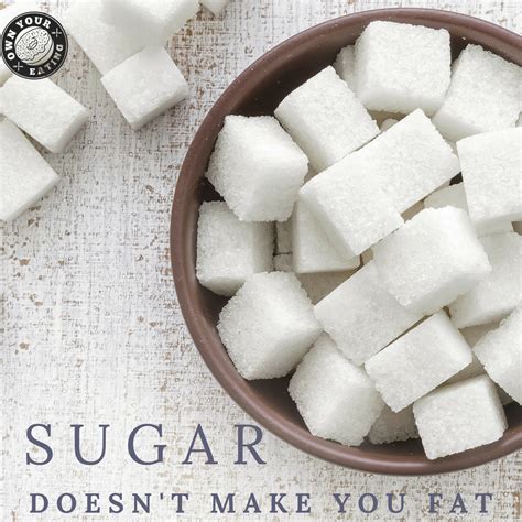 Sugar Doesnt Make You Fat Separating Food Fact From Fiction
