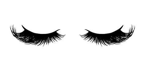 Long Black Lashes Vector Illustration Beautiful Eyelashes Isolated On