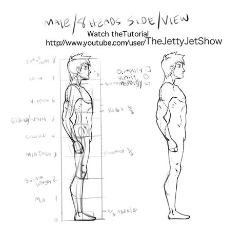Male Side Viewproportions By Thejettyjetshow Body Reference Drawing