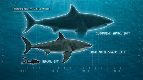 The megalodon was the largest known predator in the history of the earth, at least based on its over the years the size estimations of the megalodon shark have changed, as the science comparison with modern day and extinct animals. Megalodon: The New Exidence