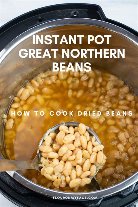 These 15 recipes prove that they can be (and. Instant Pot Great Northern Beans | Recipe in 2020 | Instant pot, Instant pot recipes, Northern beans