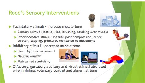 Roods Approach Sensory Stimuli Supports Voluntary Movement Muscle