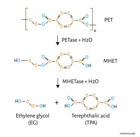 Plastic Eating Bacteria How They Work Petase That Can Break Down Plastic