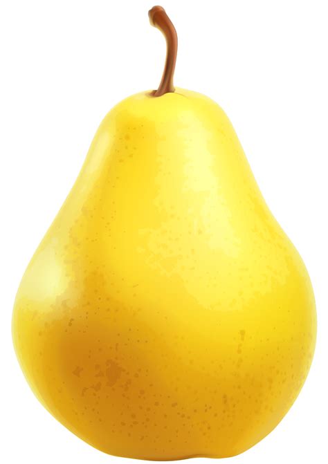 Pear Clipart Png Images