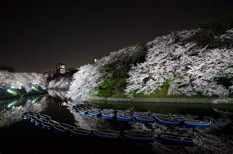 Wallpaper Reflection Water Nature Plant Night River Sky Tree
