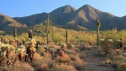 Así es Sonora, el desierto más grande de Norteamérica | Conocedores ...