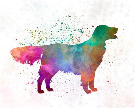 Flat Coated Retriever 01 In Watercolor Fine Art Print Poster Etsy