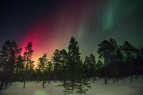 Northern Lights Greenland