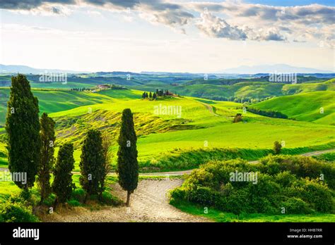 Tuscany Rural Sunset Landscape Countryside Farm Cypresses Trees