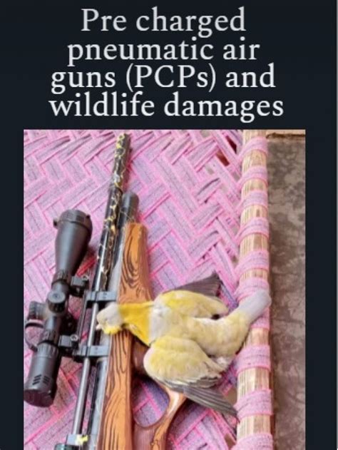 Pre Charged Pneumatic Air Guns PCPs And Wildlife Damages Biohavoc