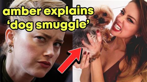 Amber Confronted Dog Smuggle Uk Transcripts Youtube