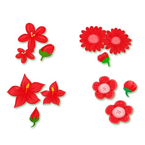 Various Kinds Of Red Flowers Flower Red Illustration Png Transparent