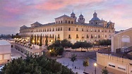 Học Bổng 100% - Catholic University of Murcia, Tây Ban Nha| 7EDU