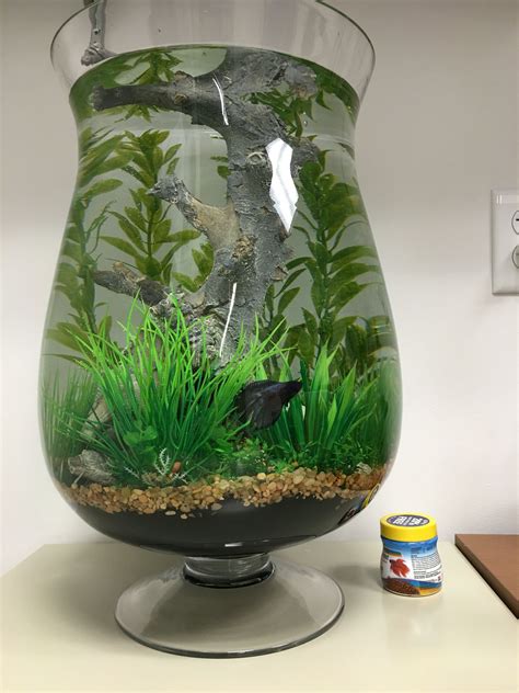 Remember the best decorations for betta fish will also remember that a betta needs decorations to make him feel at home, keep him entertained and give him somewhere to relax! Aquarium Decorations Diy 15 - Meowlogy